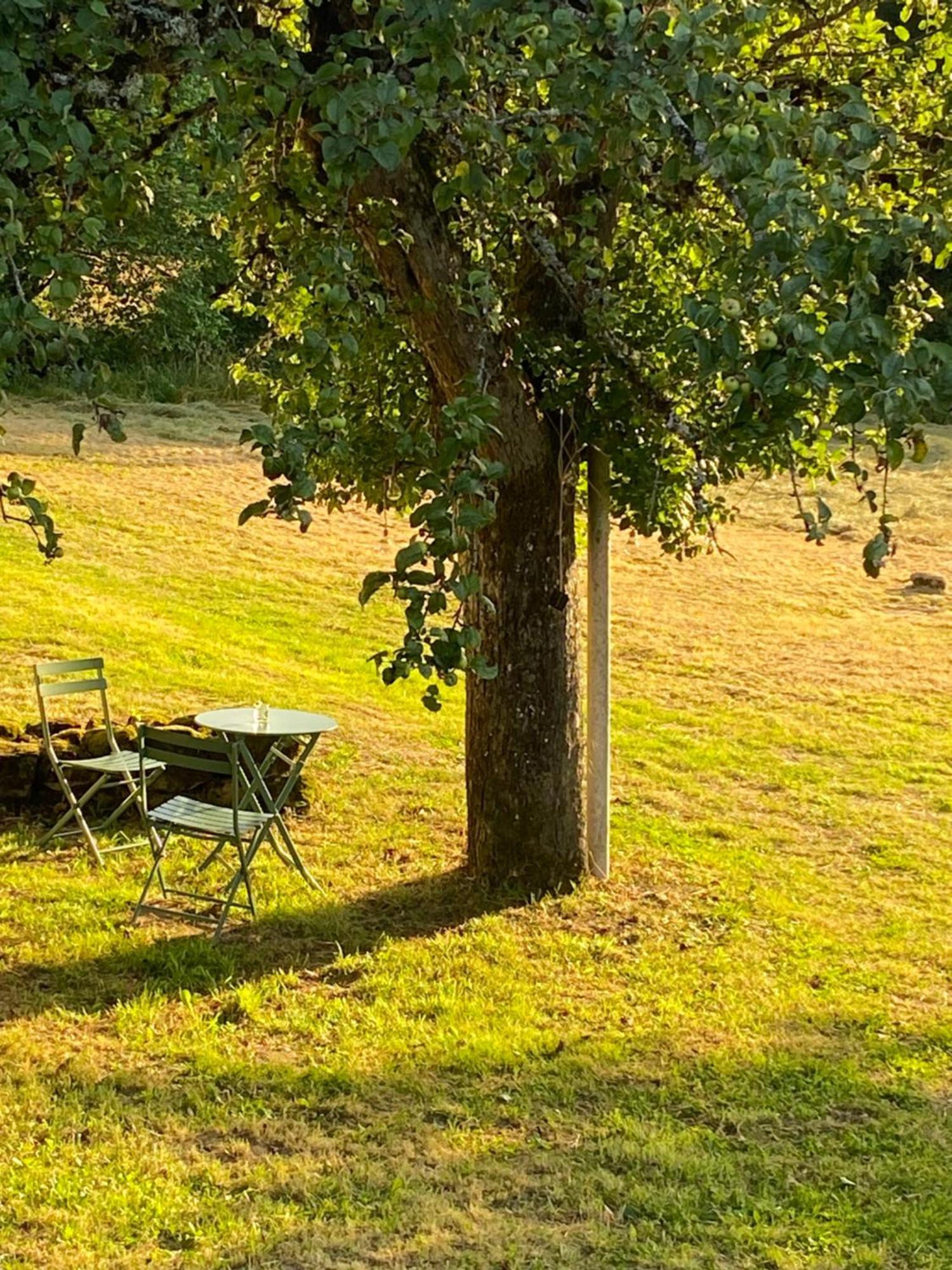 Une Pause En Correze Sarroux Zewnętrze zdjęcie